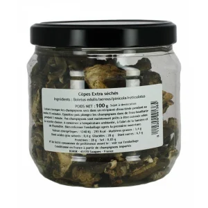 Cèpes Entiers Séchées 100 G Borde 6