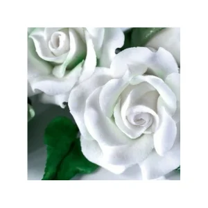 Gum Paste Renshaw Blanc 250 G 9