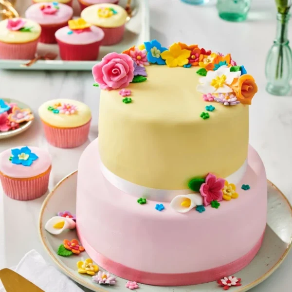 Pâte à Sucre Gris pierre 250g Funcakes 3