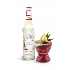 Sirop Gingembre 70 Cl Monin 6